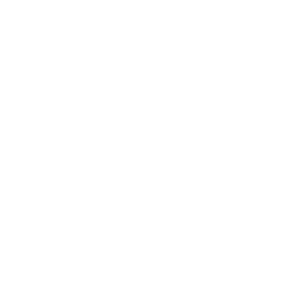 Now or Never logo